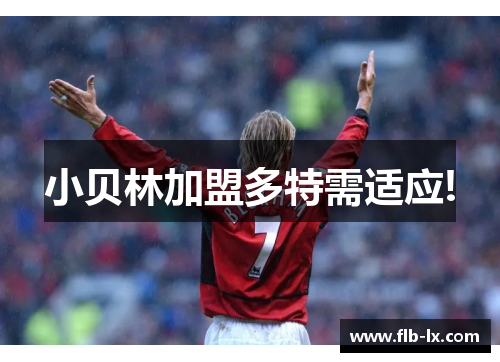 小贝林加盟多特需适应!